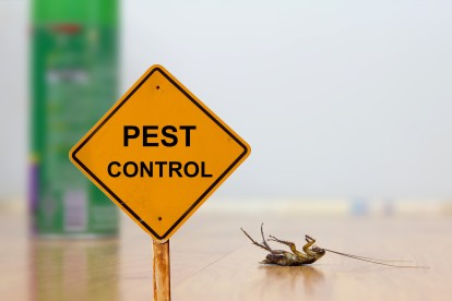 Pest Contol in Hither Green, SE13. Call Now 020 8166 9746